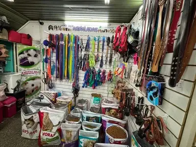 Pet Shop Animaladas: tienda con collares, bozales, arneses, alimentos y correas para mascotas